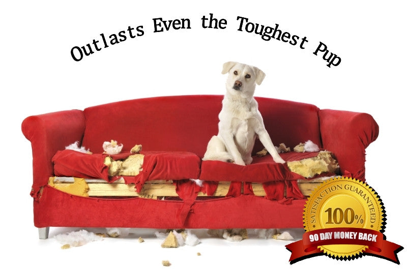 Last Leash - A Small Shop with Big Heart and Rugged Products