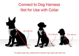 Dog Car Seat Belt Restraint - Chew-Proof Heavy Duty Car Seatbelt Tether